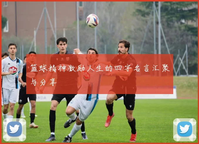 篮球精神激励人生的四字名言汇聚与分享