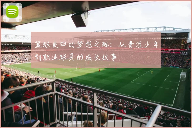 篮球良田的梦想之路：从青涩少年到职业球员的成长故事